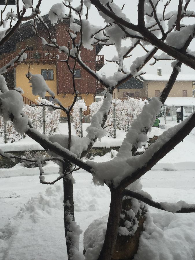 La Vigne De Papagran