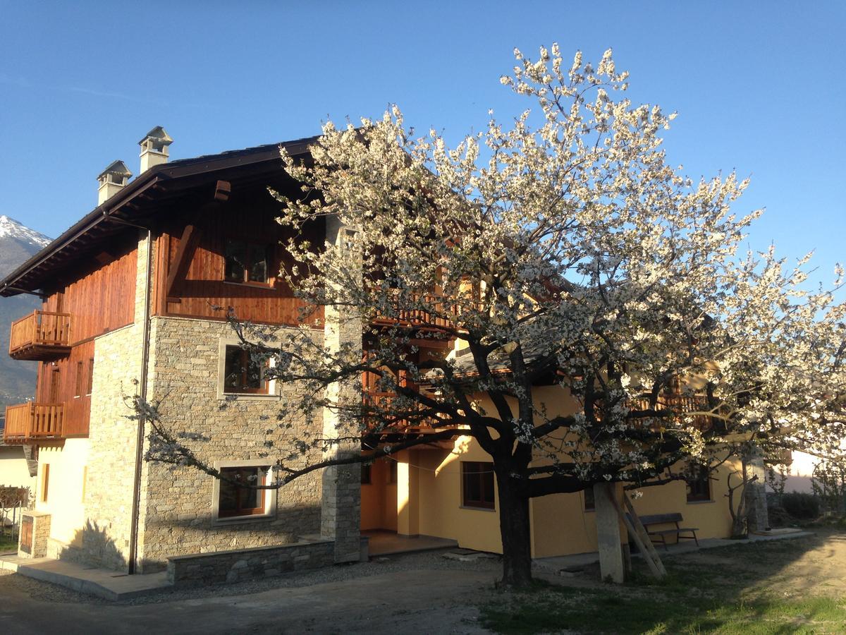Aparthotel La Vigne De Papagran
