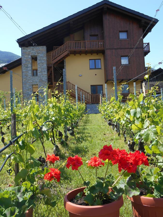 Aparthotel La Vigne De Papagran