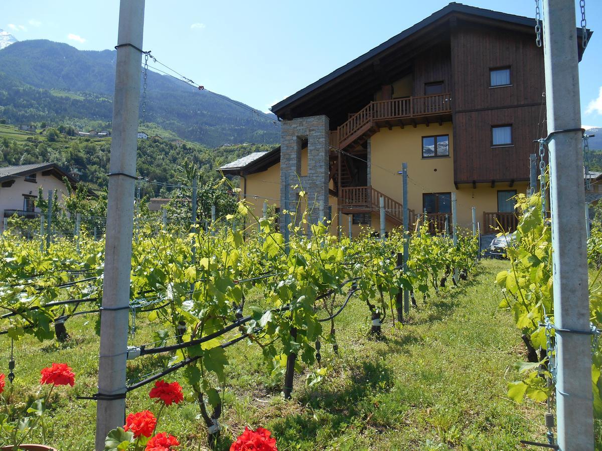 Aparthotel La Vigne De Papagran